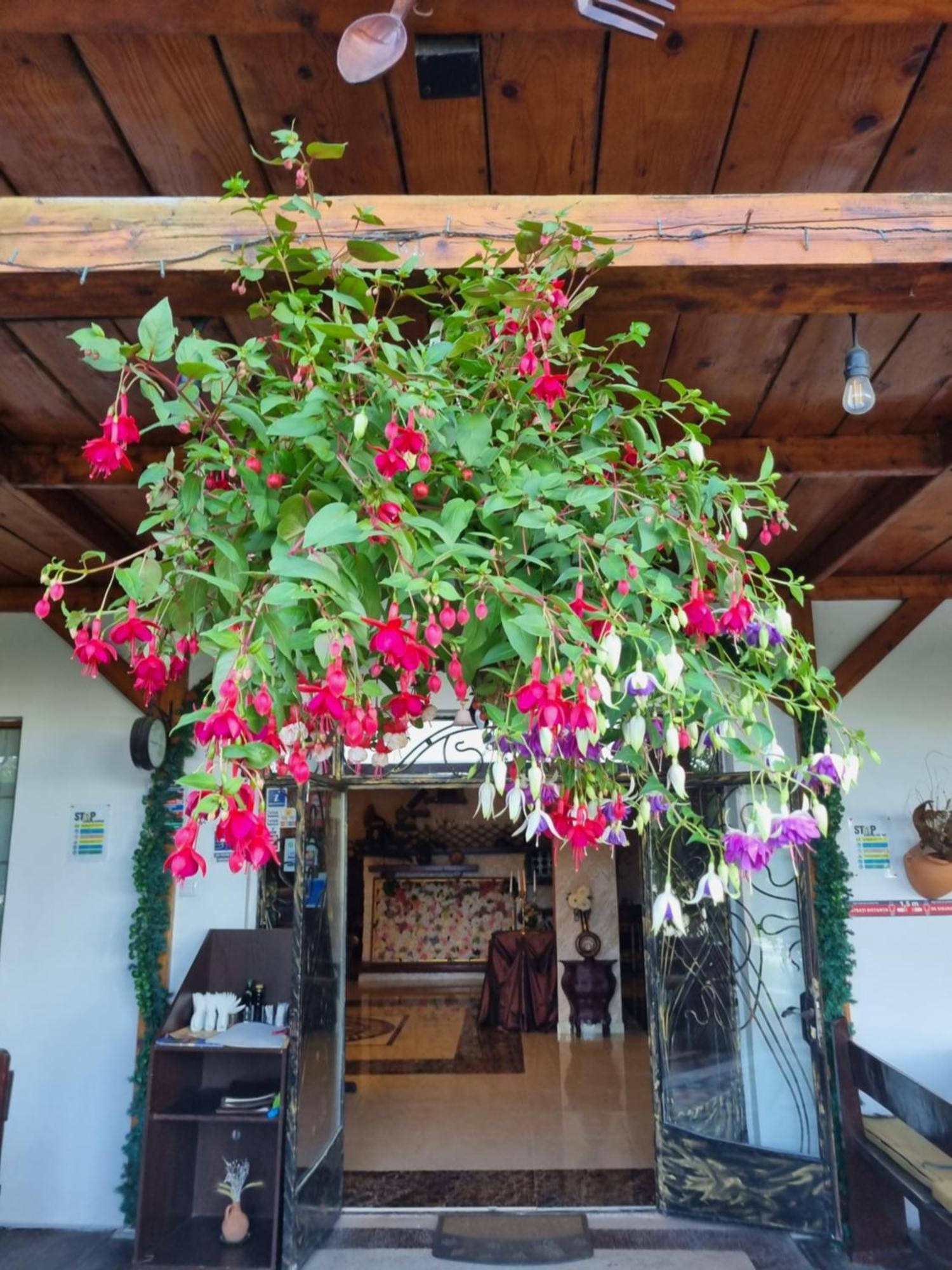 فندق Casa Boiereasca ياش المظهر الخارجي الصورة